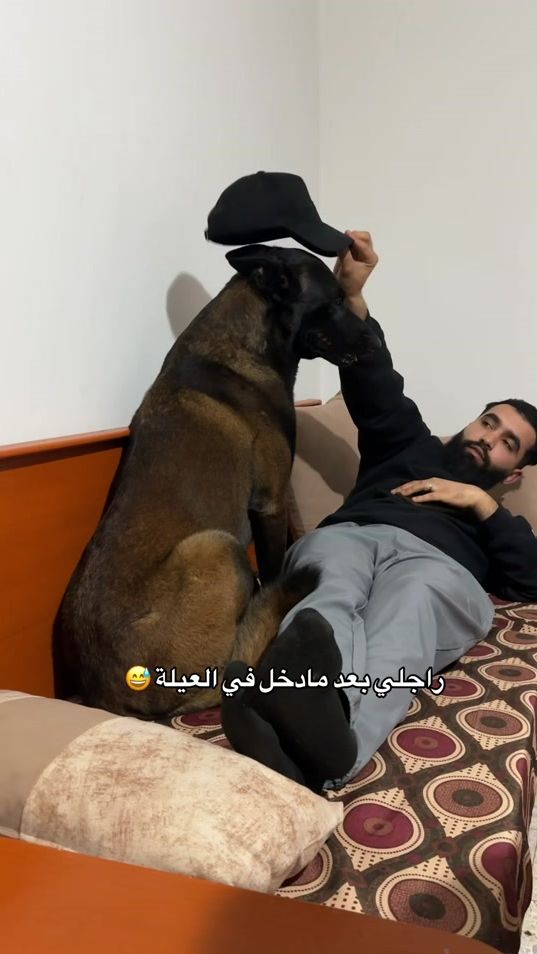 TikTok video thumbnail by pablo.kk9