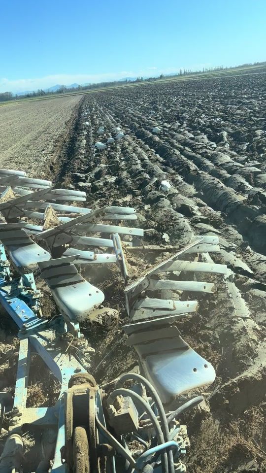 TikTok video thumbnail by christian.bertold2