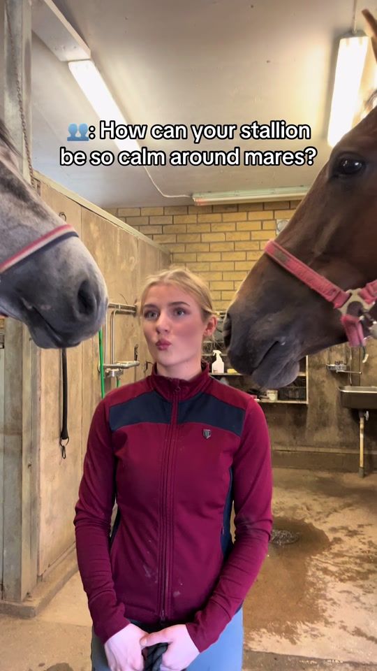 TikTok video thumbnail by claranorling