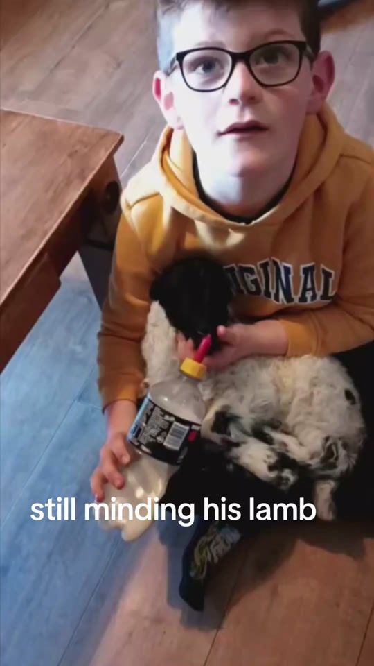TikTok video thumbnail by selinafarrell312