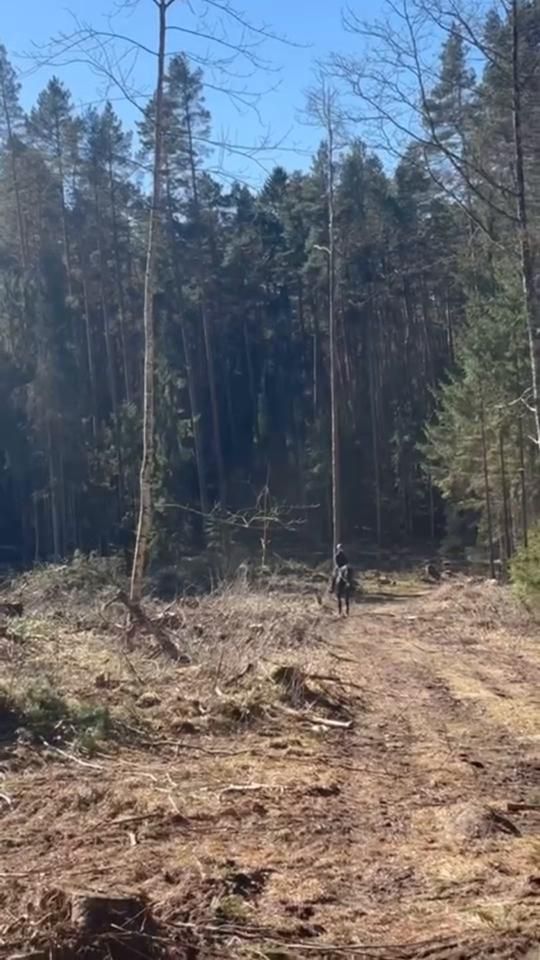 TikTok video thumbnail by migleaall