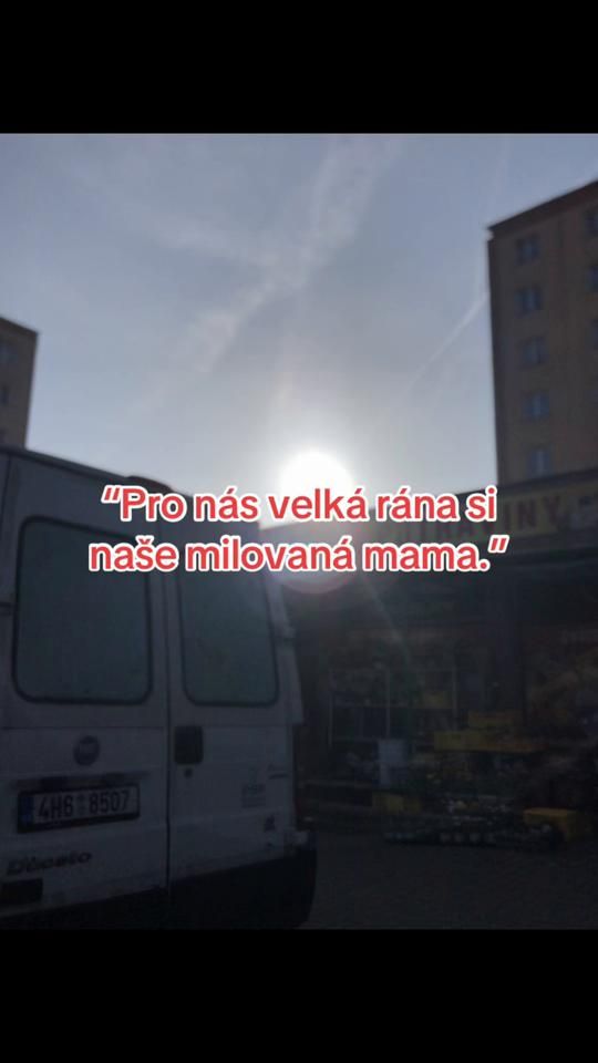 TikTok video thumbnail by martinkq._