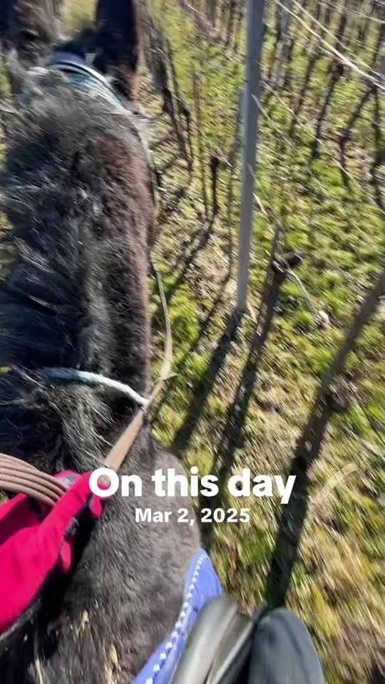 TikTok video thumbnail by lara_obara
