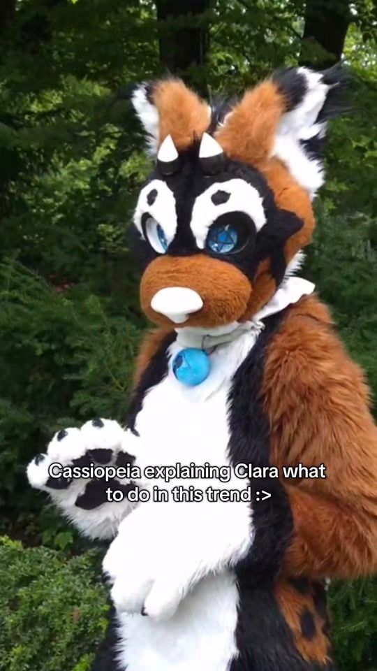 TikTok video thumbnail by tiara_the_fox