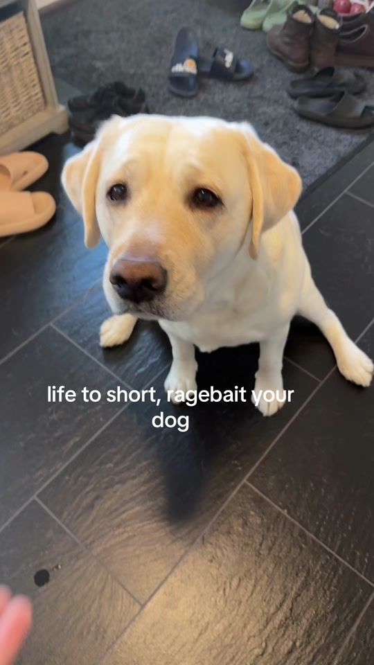 TikTok video thumbnail by sv1ngen