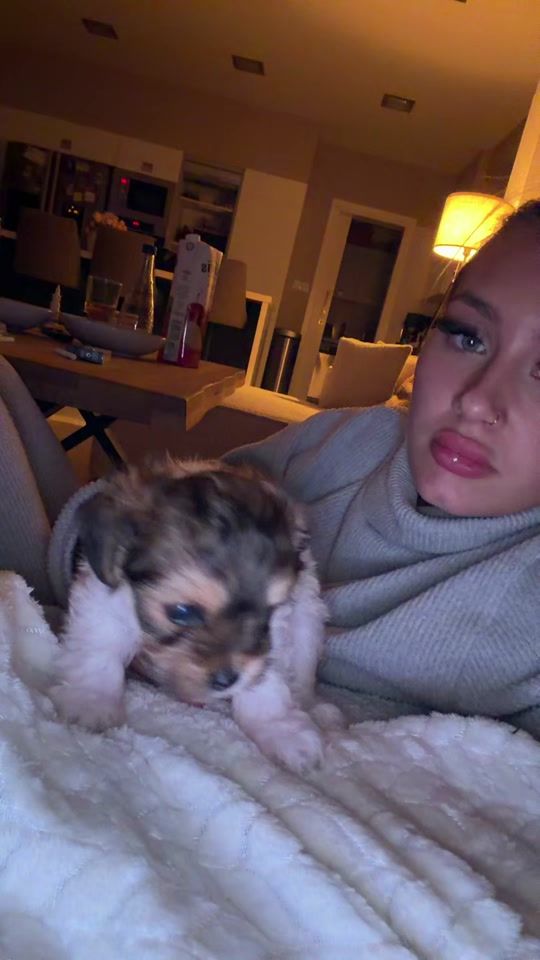 TikTok video thumbnail by carina_nl