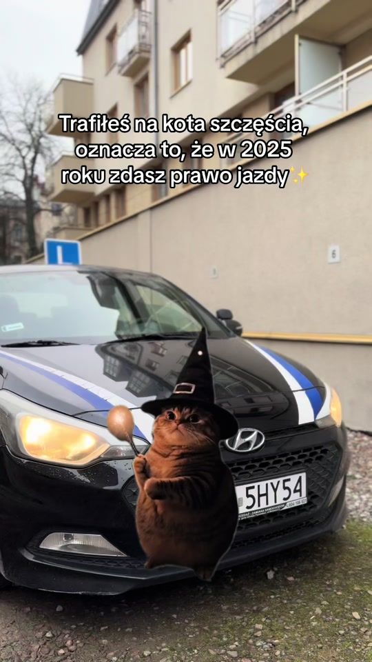 TikTok video thumbnail by oes.szkola.nauki.jazdy