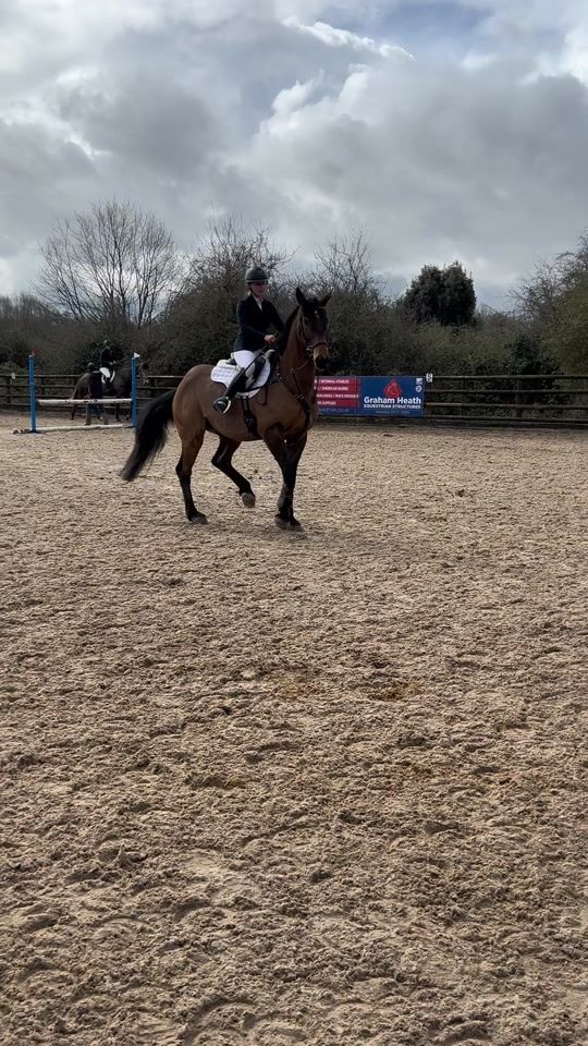 TikTok video thumbnail by lucy.showjumping__