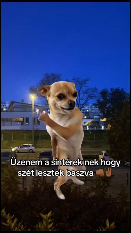 TikTok video thumbnail by bt_tomi