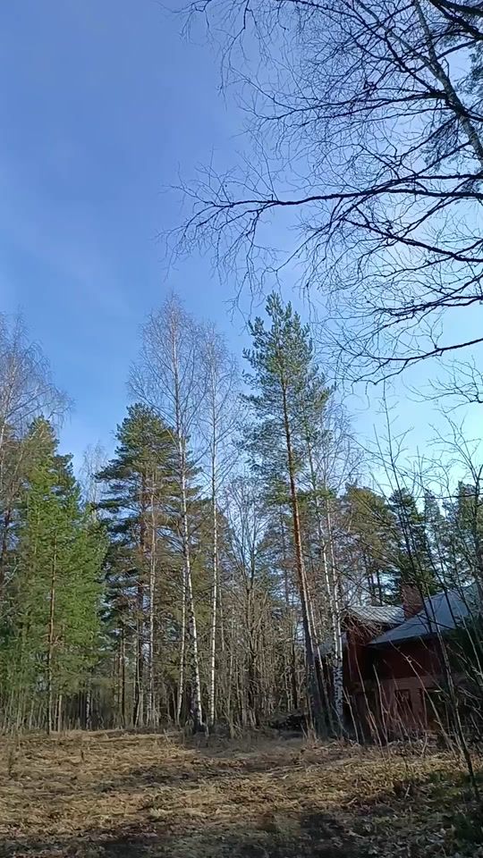 TikTok video thumbnail by tvdblessedme