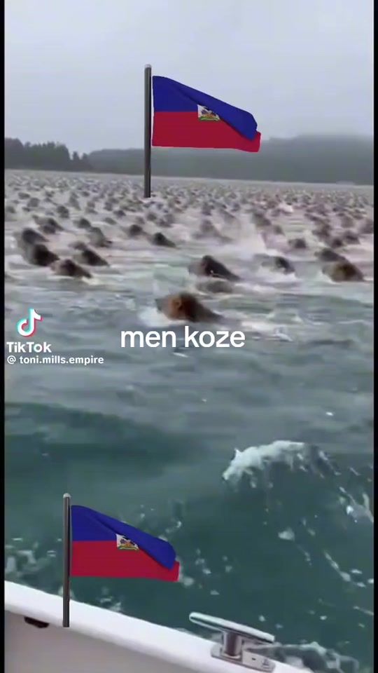 TikTok video thumbnail by donson2019