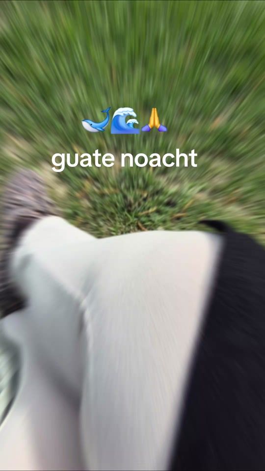 TikTok video thumbnail by christine.foidl3