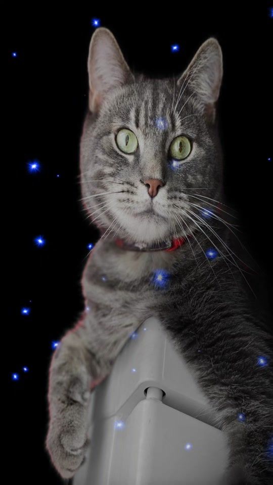 TikTok video thumbnail by alaindede5959
