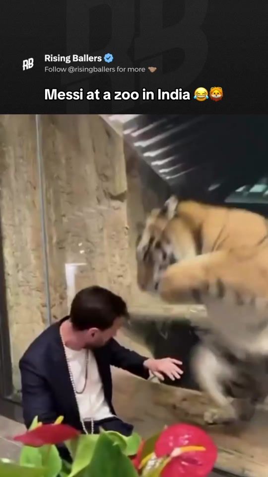 TikTok video thumbnail by risingballers