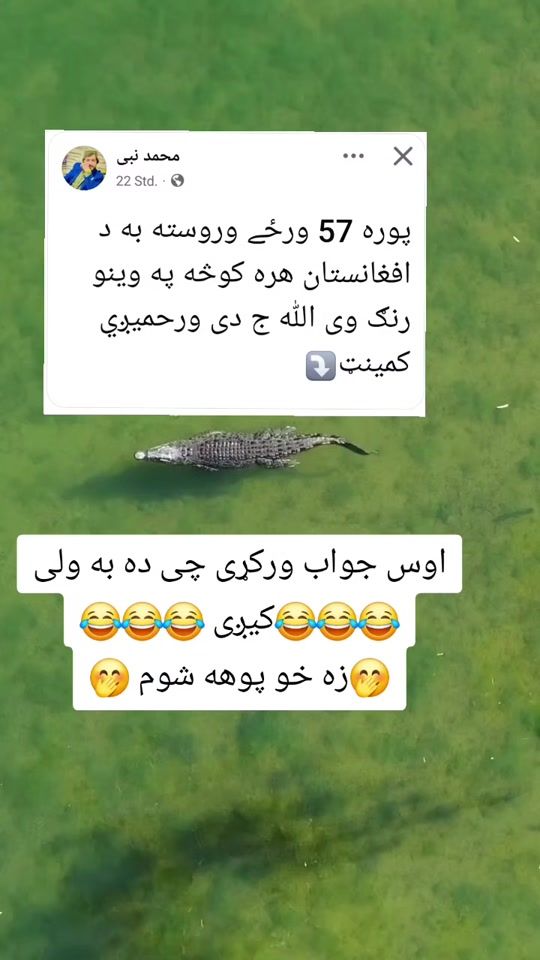 TikTok video thumbnail by fonnysmile1