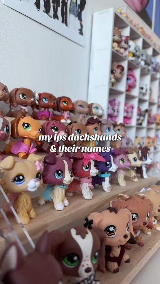 TikTok video thumbnail by vaniapetshops