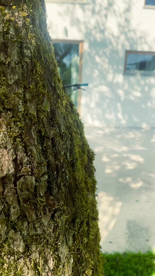 TikTok video thumbnail by lovro_oven