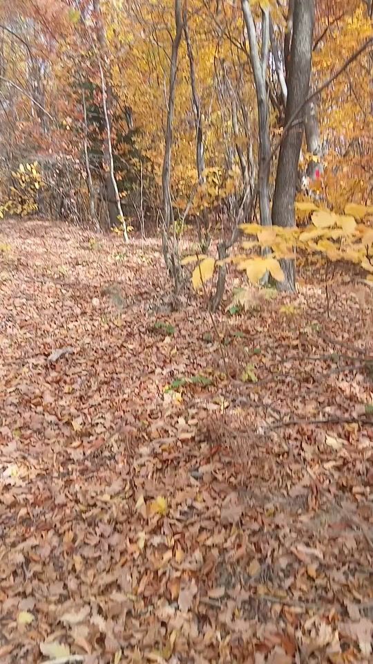 TikTok video thumbnail by user663em97sk9