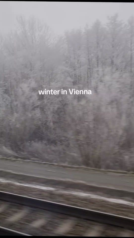 TikTok video thumbnail by veronique.josefine