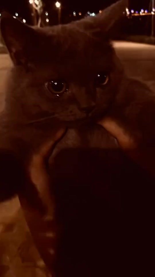 TikTok video thumbnail by night_vibe_official