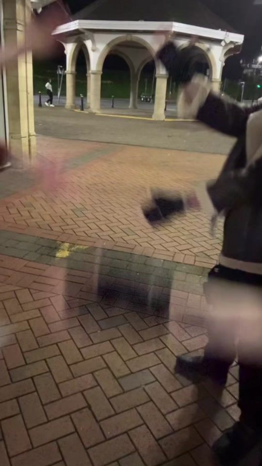 TikTok video thumbnail by wyvern_of_wales