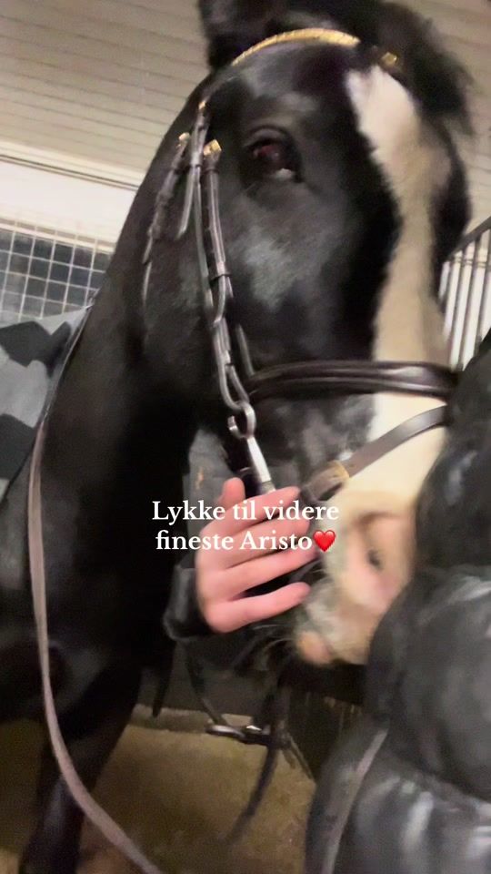 TikTok video thumbnail by eqmali