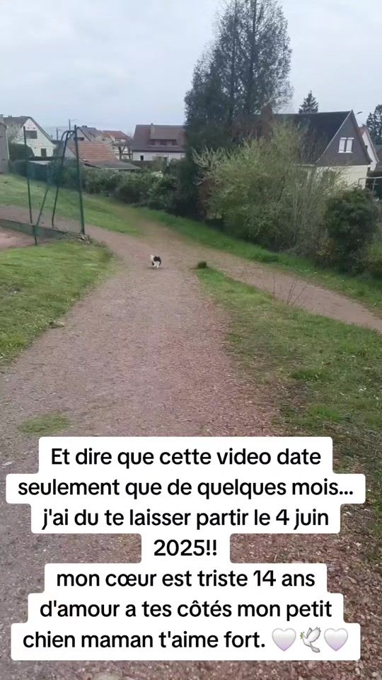 TikTok video thumbnail by ellejy.5