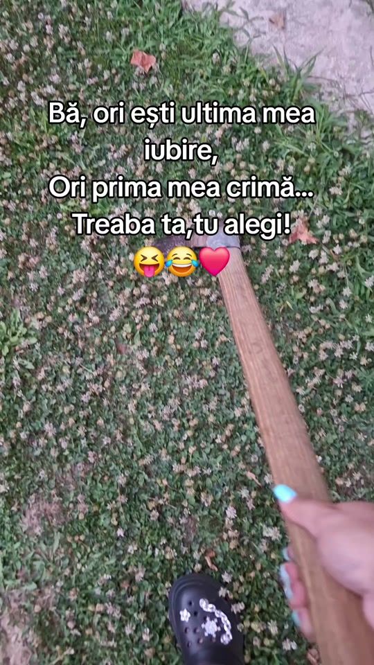 TikTok video thumbnail by dianastanescu15