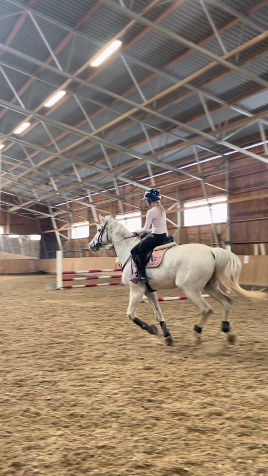 TikTok video thumbnail by equestrianinkku