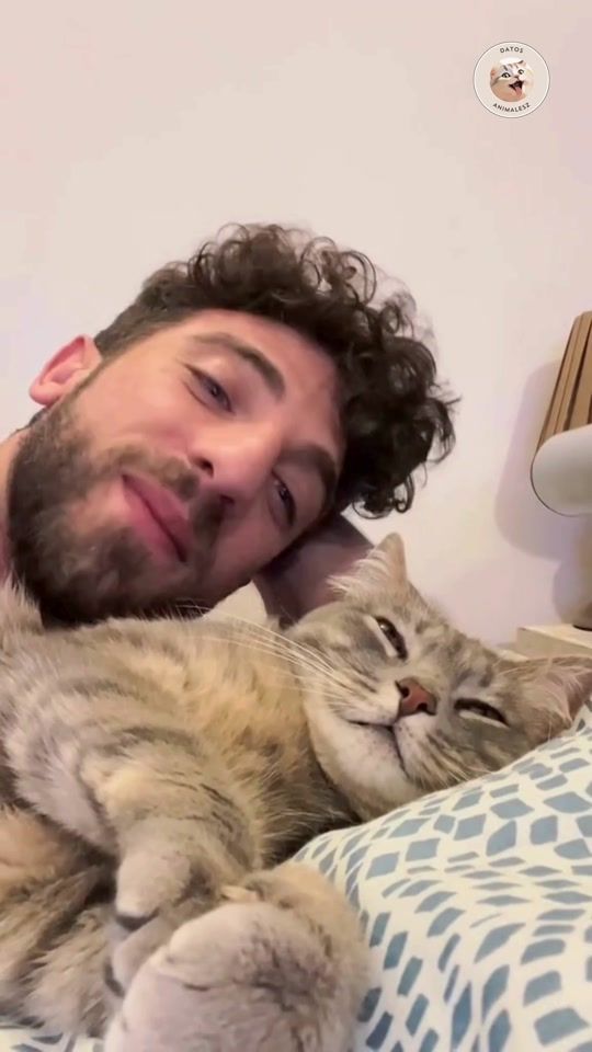 TikTok video thumbnail by datos.animalesz