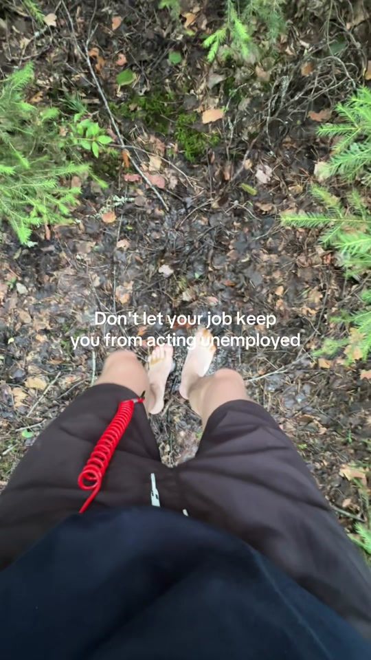 TikTok video thumbnail by diptera.clothing