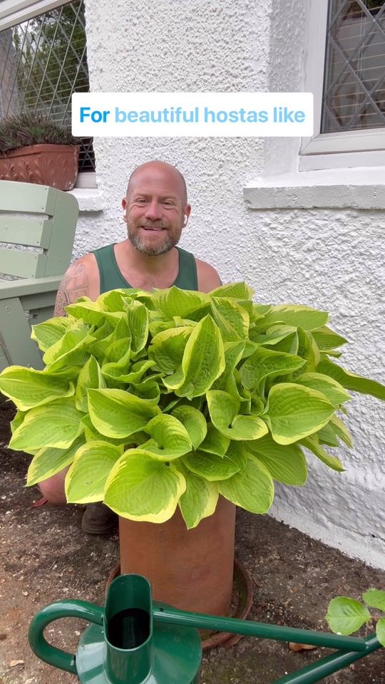 TikTok video thumbnail by the_gardenerben