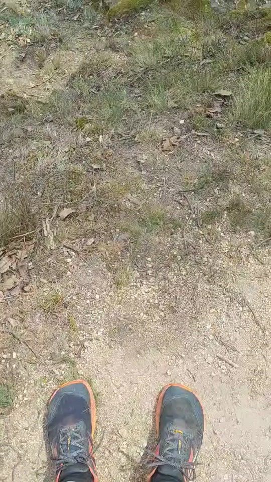 TikTok video thumbnail by stopy.v.lese