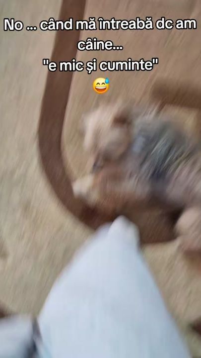 TikTok video thumbnail by haz.cu.necaz