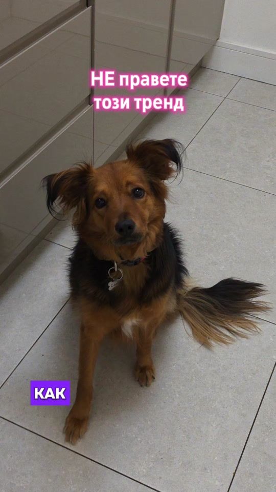 TikTok video thumbnail by zoribaby
