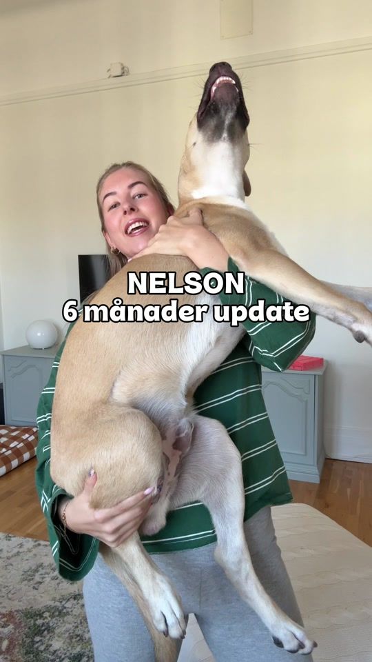 TikTok video thumbnail by elinwestrup