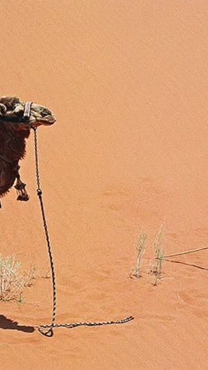 TikTok video thumbnail by spstary