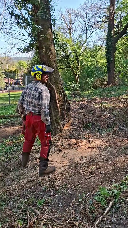 TikTok video thumbnail by szaffi8