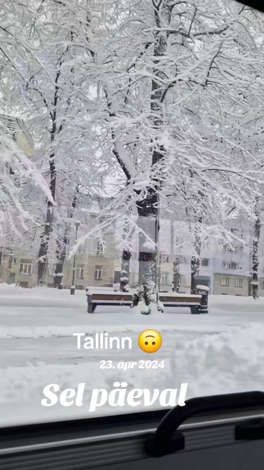 TikTok video thumbnail by tallinnatsikk