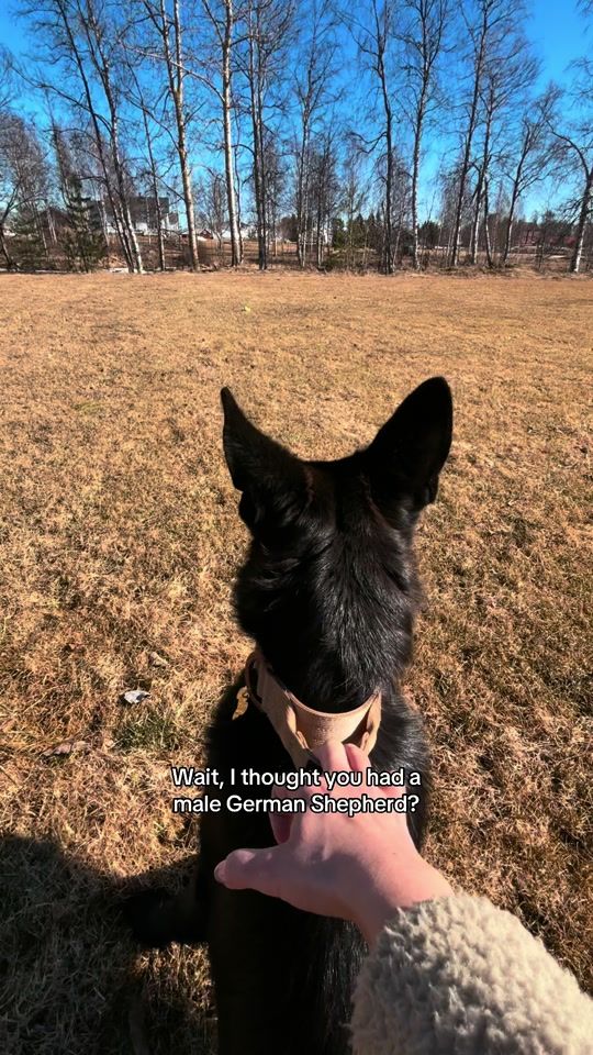 TikTok video thumbnail by jennamariay
