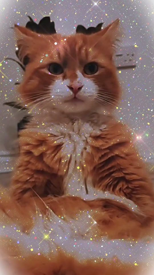 TikTok video thumbnail by toby.795