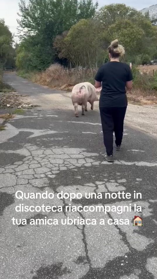 TikTok video thumbnail by raffaelepiperata