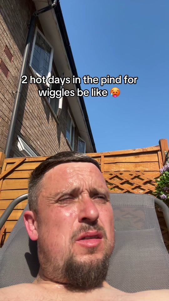 TikTok video thumbnail by wiggles_89
