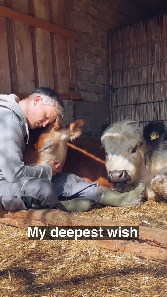 TikTok video thumbnail by moustache_farmer