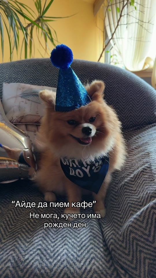 TikTok video thumbnail by ivelina.k_