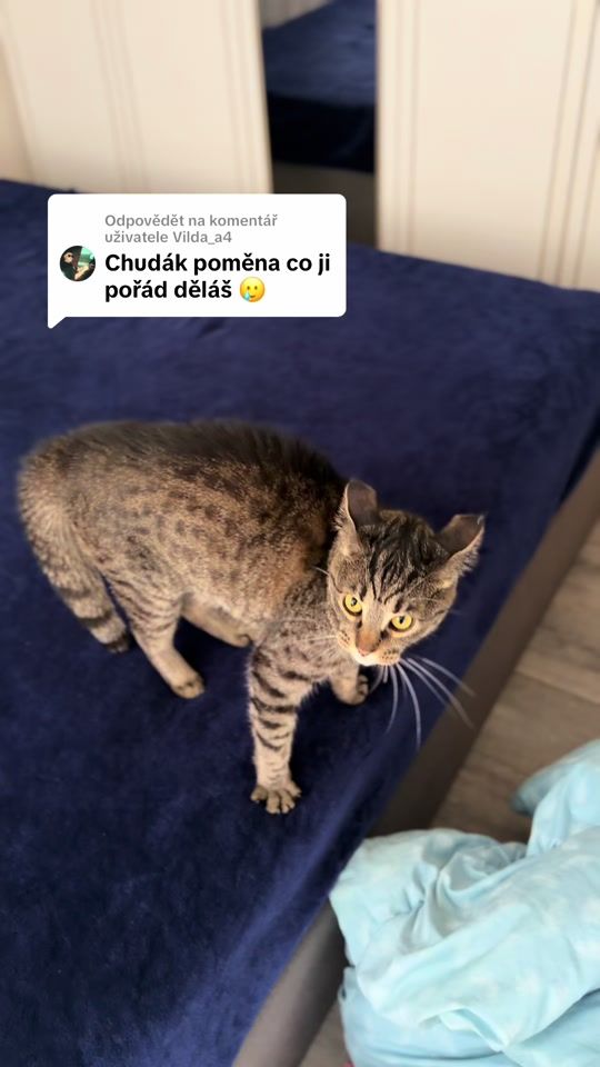 TikTok video thumbnail by aneny_