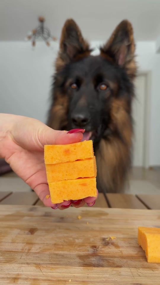 TikTok video thumbnail by leo.tiger.nala
