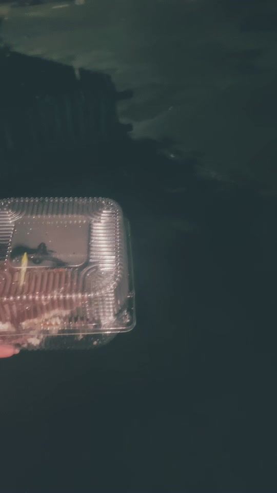 TikTok video thumbnail by x.e.01