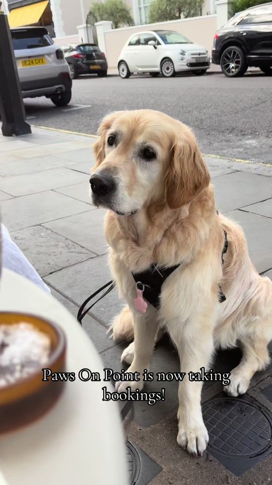TikTok video thumbnail by trainingwithkm