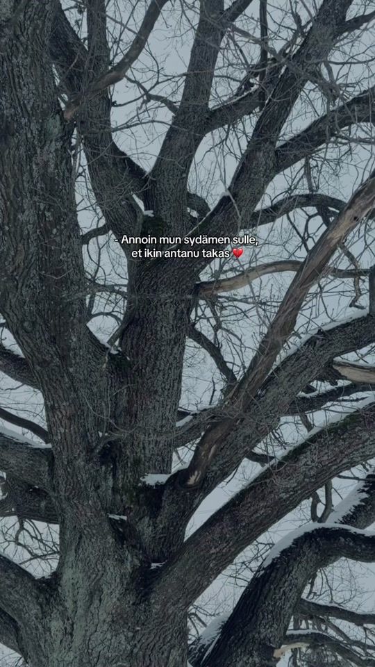 TikTok video thumbnail by jseszn